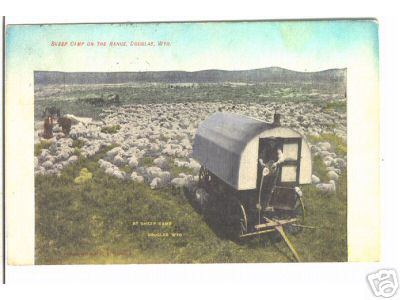 Sheep Camp in Wy