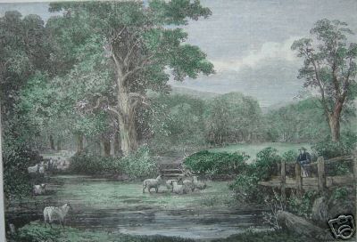 Sheep Country Scene Hand Colored Print 1863