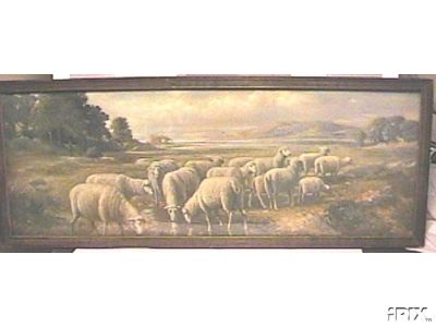 Sheep Drinking2