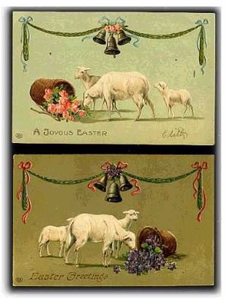 Sheep Easter Cards