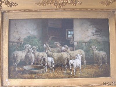 Sheep Eating in Barn