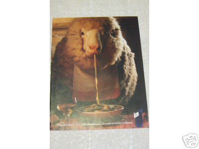 Sheep Eating Pasta