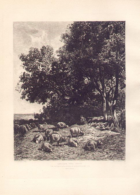 Sheep Etching By Smillie