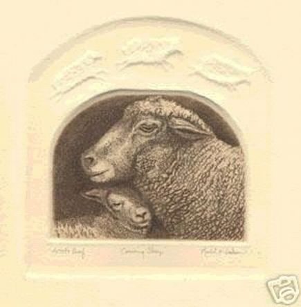 Sheep Ewe with Sleeping Lamb