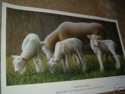 Sheep Ewe with Triplets