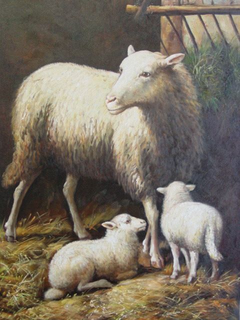 Sheep Ewe with Twins