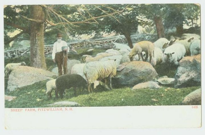 Sheep Farm Fitzwilliam Nh Interesting Fence