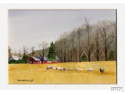 Sheep Farm in Upstate Ny