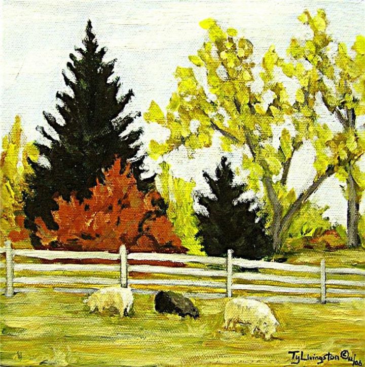 Sheep Farm Montana Impressionist