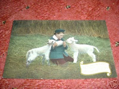 Sheep Feeding Her Lambs