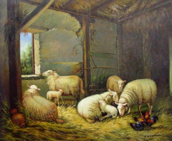 Sheep Flock Family