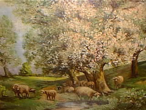 Sheep Flock in Spring