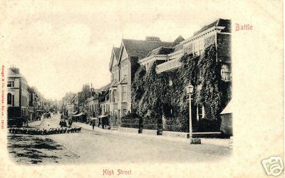 Sheep Flock in the Street