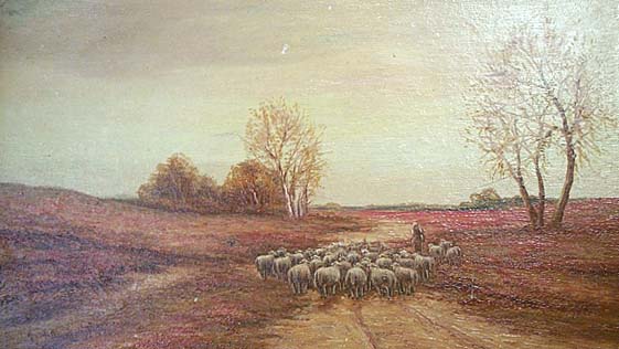 Sheep Flock on the Heath
