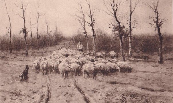 Sheep Flock with Dog and Shepherd