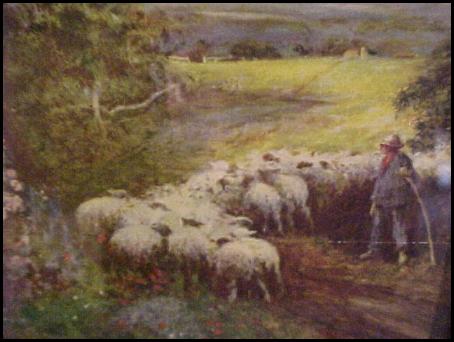 Sheep Flock with Shepherd