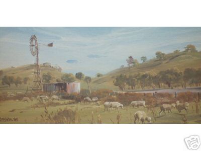 Sheep Glazing Tamworth