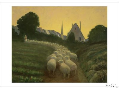 Sheep Going Home1