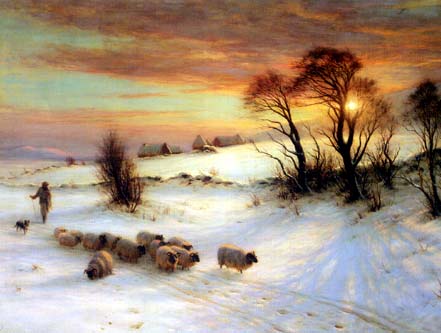 Sheep Going Home at Sunset