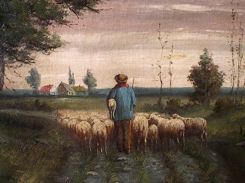 Sheep Going Home in Spring