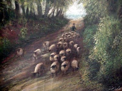 Sheep Going Through the Woods