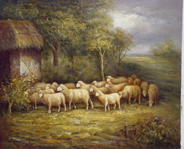 Sheep Going to Barn