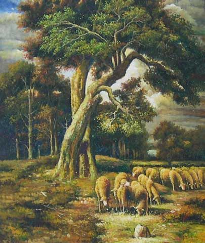 Sheep Graz Ing Under Trees