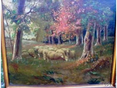 Sheep Graze in Fall Woods