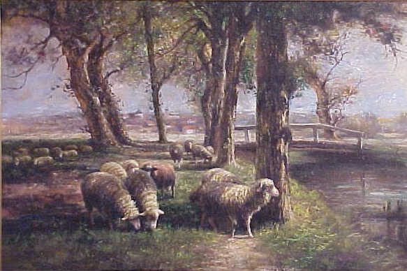 Sheep Graze Next to Creek