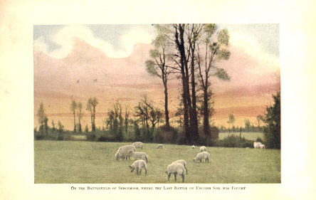 Sheep Graze on the Battlefield at Sedgemore