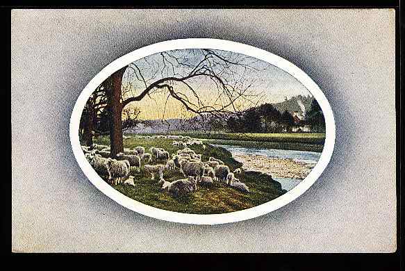 Sheep Grazeing By the Waters Edge