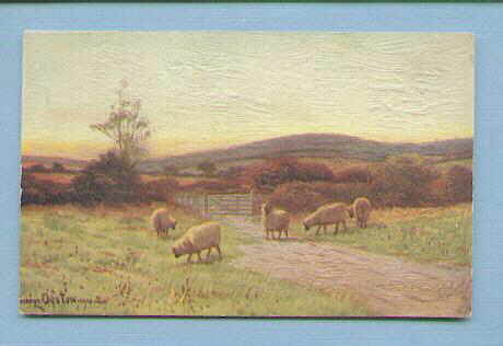 Sheep Grazing 4