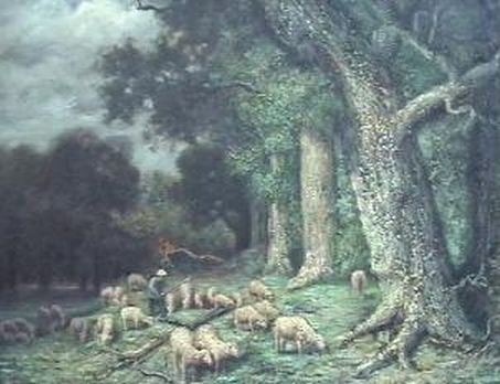 Sheep Grazing at the Edge of the Wood