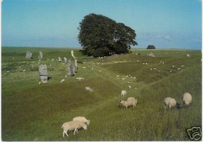 Sheep Grazing By a Stone Circle