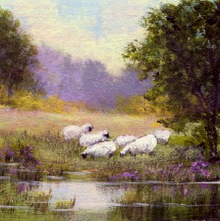 Sheep Grazing By a Stream1