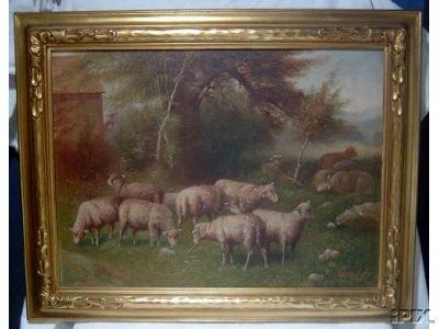 Sheep Grazing By Forest Glade