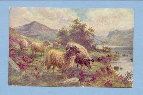Sheep Grazing By River