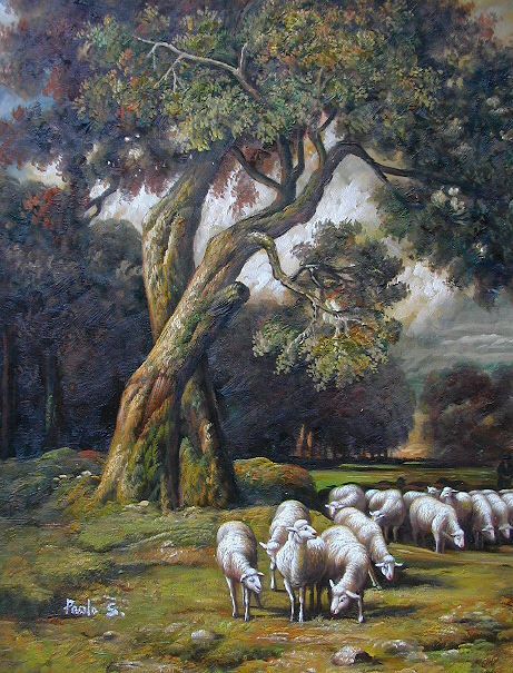 Sheep Grazing By Woods