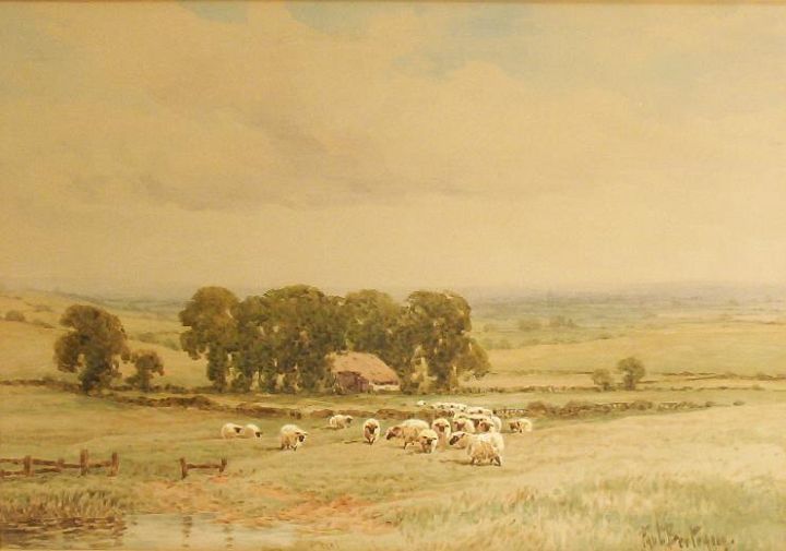 Sheep Grazing in a Meadow