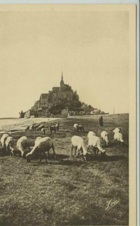 Sheep Grazing in France B