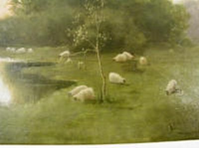 Sheep Grazing in the Marsh