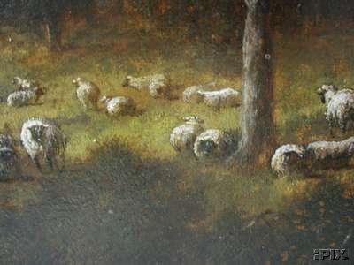 Sheep Grazing in Woods