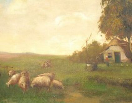 Sheep Grazing Near Home