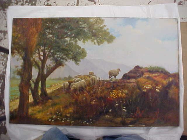 Sheep Grazing on a Rocky Hillside