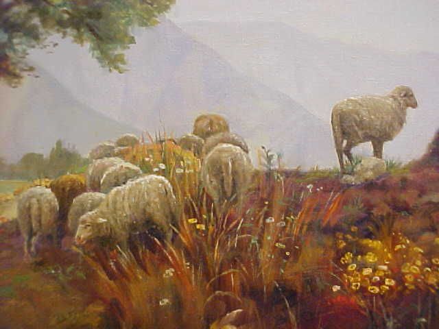 Sheep Grazing on a Rocky Hillside1