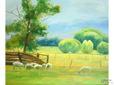 Sheep Grazing Summer Pasture