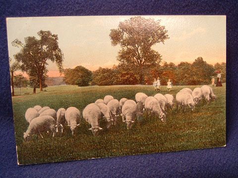 Sheep Grazing with 4 Children and Governess