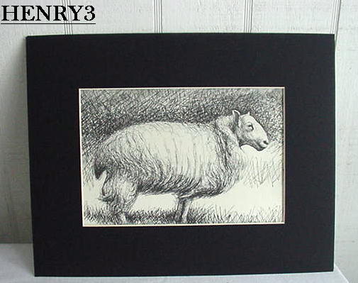 Sheep Henry 3