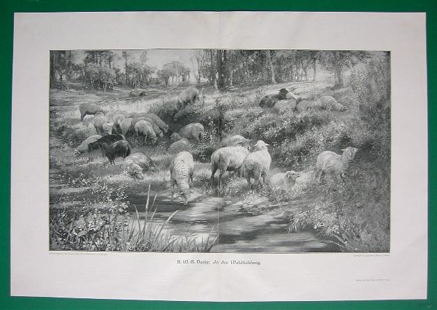 Sheep Herd Forest Glade