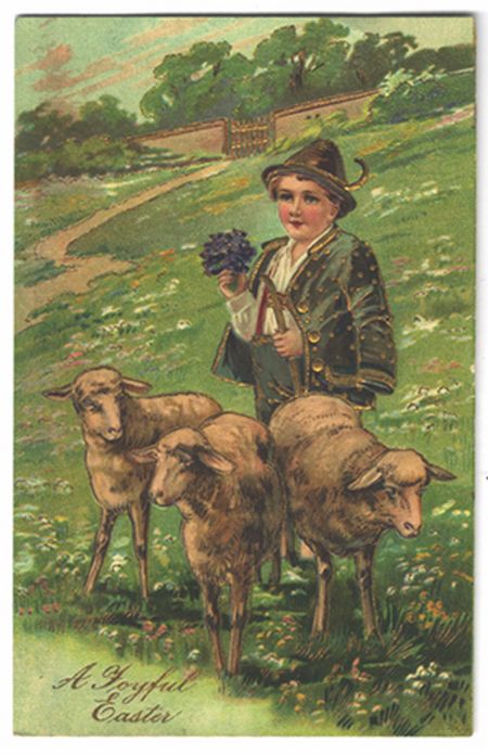 Sheep Herd with 3 Lambs